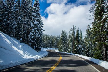Yellowstone Millî Parkı Güz