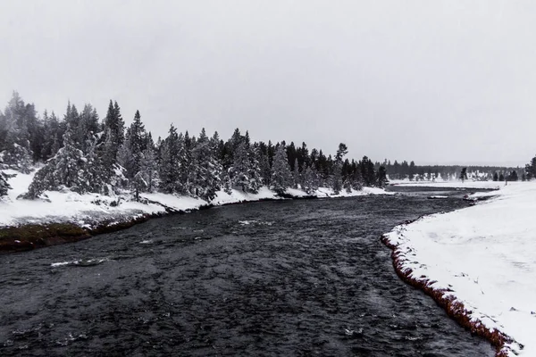 冬のイエローストーン国立公園 — ストック写真