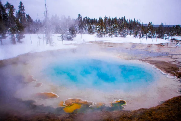 Kışın Yellowstone Milli Parkı