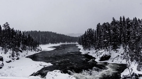Kışın Yellowstone Milli Parkı