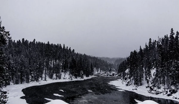 Kışın Yellowstone Milli Parkı