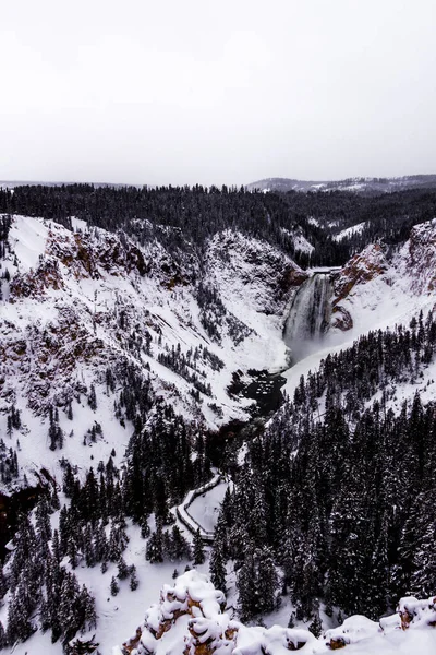 Parque Nacional Yellowstone Invierno — Foto de Stock