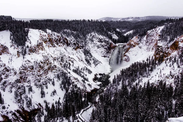 Parque Nacional Yellowstone Invierno — Foto de Stock