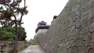 The beauty of Matsuyama Castle 