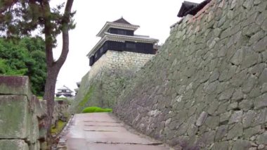The beauty of Matsuyama Castle 