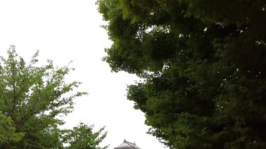The beauty of Matsuyama Castle 
