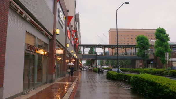 Deštivý Den Jokohamě — Stock video