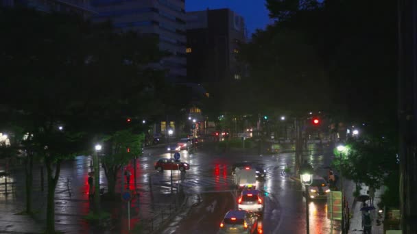Rainy Day Yokohama — Stockvideo