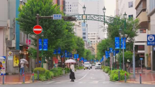 Dia Chuvoso Yokohama — Vídeo de Stock