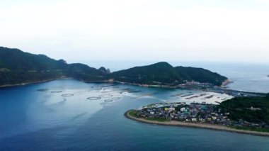 Kochi 'nin hava manzarası.