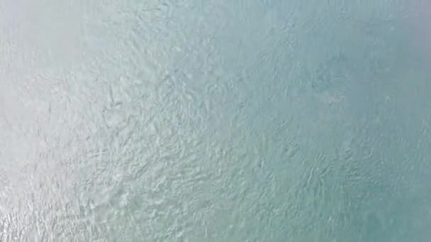 Aerial View Kochi — Αρχείο Βίντεο