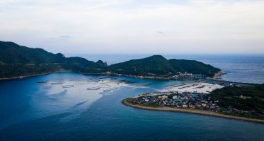 Kochi 'nin hava manzarası.