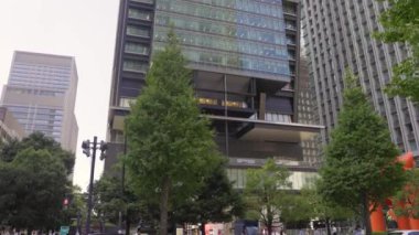 Tokyo 'nun en iyi manzarası.