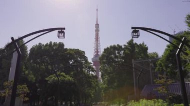 Tokyo 'nun en iyi manzarası.