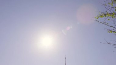 Tokyo 'nun en iyi manzarası.