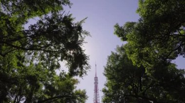 Tokyo 'nun en iyi manzarası.