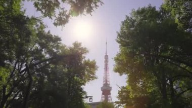 Tokyo 'nun en iyi manzarası.