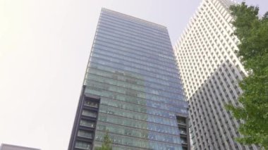 Tokyo 'nun en iyi manzarası.