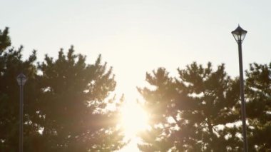 Kasai Rinkai Parkı 'nın en iyi manzarası