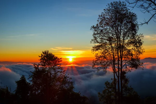 Monson Viewpoint Doi Angkhang Chiang Mai Thailand — стокове фото