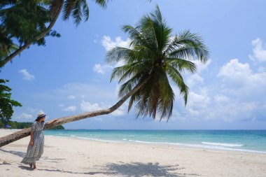 Laptop oynayan Asyalı genç bir kadın palmiye ağacında ya da Hindistan cevizi ağacında dinleniyor, tropikal sahil kenarında.