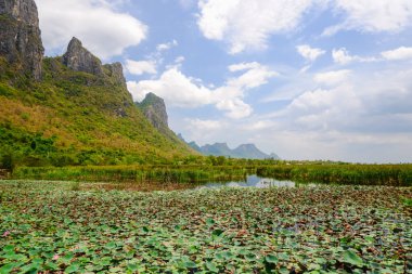 Khao Sam Roi Yot Milli Parkı 'ndaki Doğa Eğitim Merkezi (Bueng Bua), Kui Buri Bölgesi, Prachuap Khiri Khan ili, Tayland
