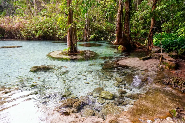 Bos Stroomopwaarts Bij Ban Nam Rat Suratthani Thailand Tropisch Woud — Stockfoto