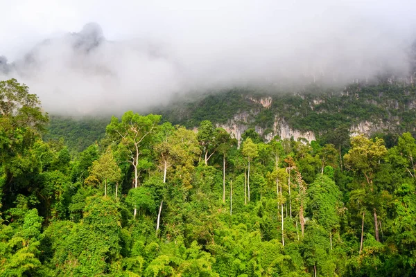 Nature Tree Mountain Rajjaprabha Dam Cheow Lan Lake Khao Sok — Stock Photo, Image
