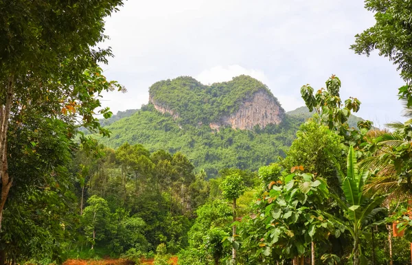 Pont Suspendu Montagne Forme Coeur Suratthani Thaïlande — Photo