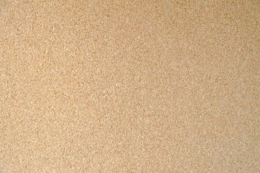 mantar tahta dokusu arkaplanı