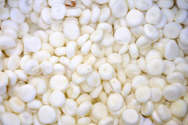 Arka plan için su kestanesini kapat