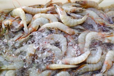 taze Pazar taze karides