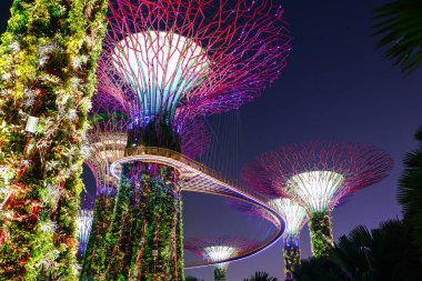 Singapur 'da gece körfez kenarındaki Supertree Grove Gardens, doğanın ve teknolojinin birleşimi.