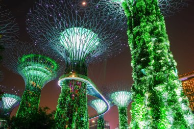 Singapur 'da gece körfez kenarındaki Supertree Grove Gardens, doğanın ve teknolojinin birleşimi.