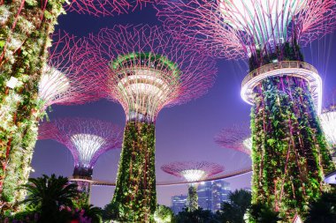 Singapur 'da gece körfez kenarındaki Supertree Grove Gardens, doğanın ve teknolojinin birleşimi.