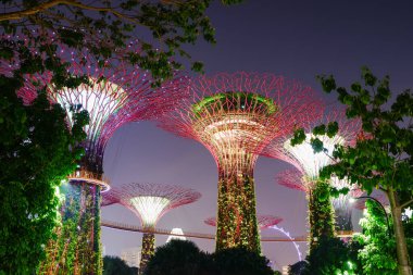 Singapur 'da gece körfez kenarındaki Supertree Grove Gardens, doğanın ve teknolojinin birleşimi.