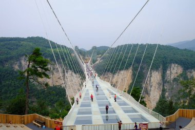 Zhangjiajie 'nin Ulusal Orman Parkı Zhangjiajie' nin Büyük Kanyonu Çin 'deki Cam Alt Köprüsü