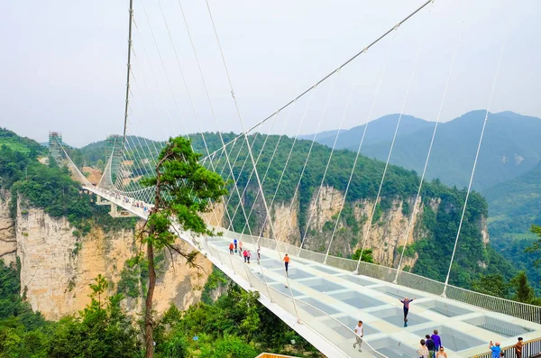 Zhangjiajie 'nin Ulusal Orman Parkı Zhangjiajie' nin Büyük Kanyonu Çin 'deki Cam Alt Köprüsü