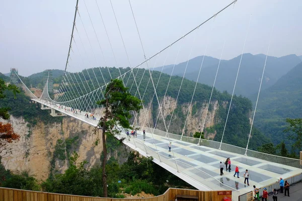 Zhangjiajie 'nin Ulusal Orman Parkı Zhangjiajie' nin Büyük Kanyonu Çin 'deki Cam Alt Köprüsü