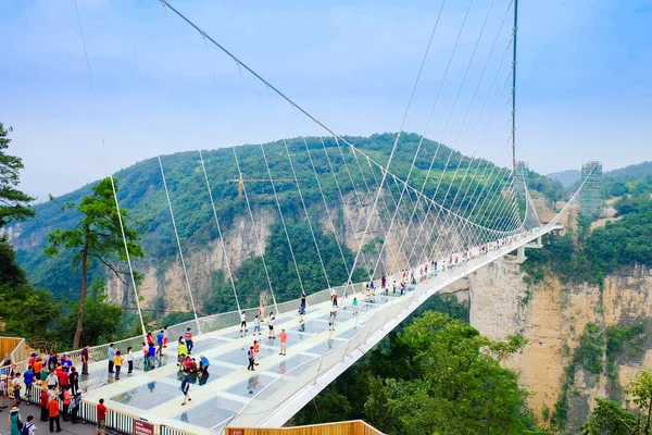 Zhangjiajie 'nin Ulusal Orman Parkı Zhangjiajie' nin Büyük Kanyonu Çin 'deki Cam Alt Köprüsü