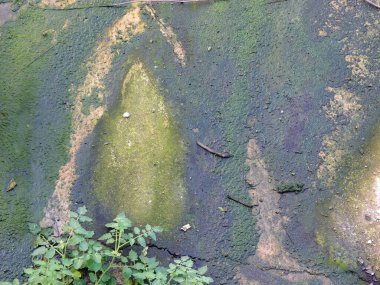 Çatlak eski kirli zemin ya da grunge arkaplan