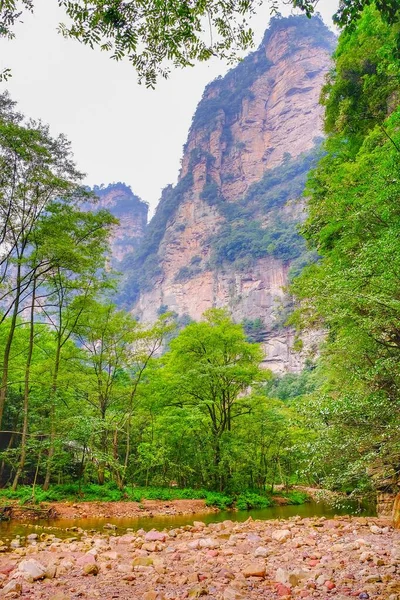Montagne Avatar Parc Forestier National Zhangjiajie Chine — Photo