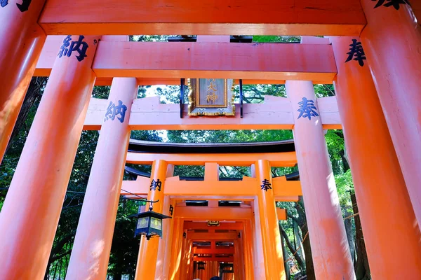 Fushimi Inari Taisha Kyoto Japon — Photo