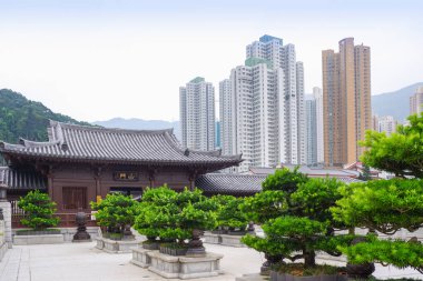 Chi Lin Nunnery ve Nan Lian Garden Hong Kong 'da