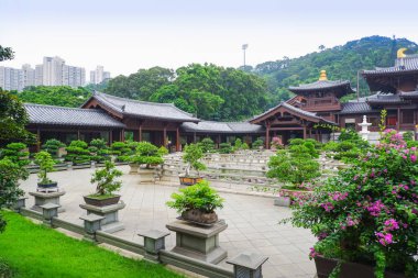 Chi Lin Nunnery ve Nan Lian Garden Hong Kong 'da