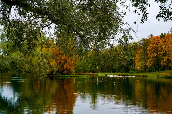 Parkta sonbahar manzarası