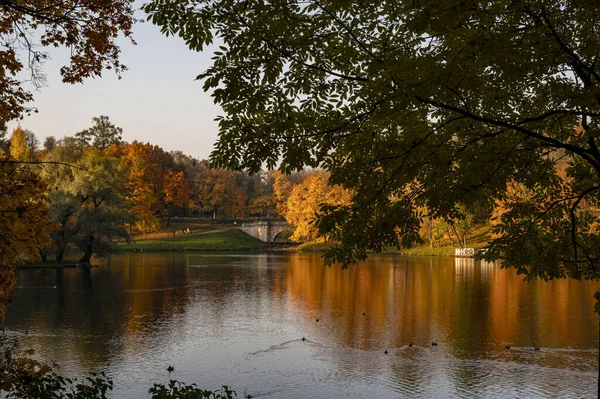 Wunderschöne Landschaft Herbstpark — Stockfoto