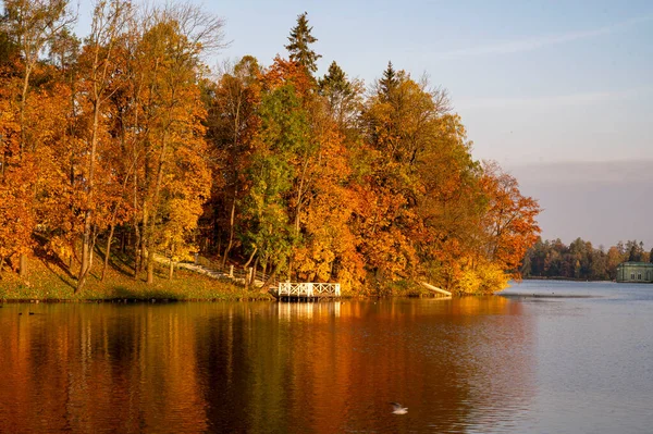 Wunderschöne Landschaft Herbstpark — Stockfoto