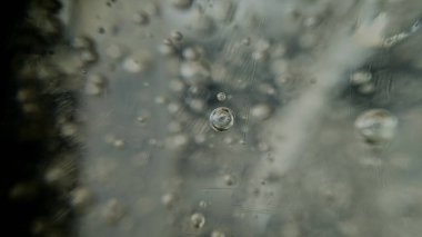 Ağaçta su damlaları