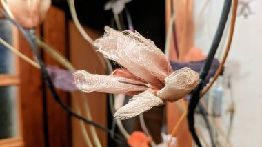 ahşap bir masaya bırakıyor